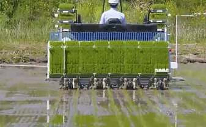 Mechanised planting